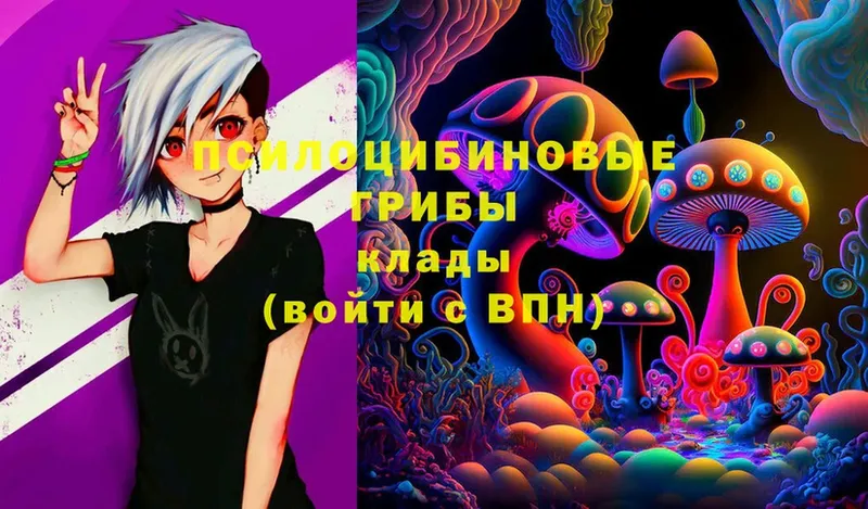 Галлюциногенные грибы Magic Shrooms  Бугуруслан 