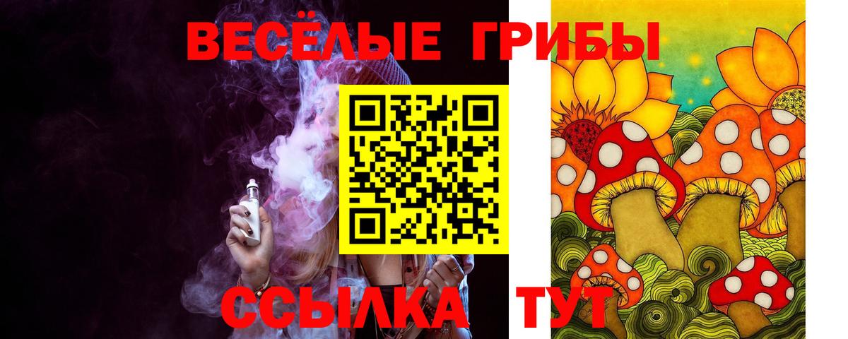 Псилоцибиновые грибы Psilocybe  Вход с VPN  Бугуруслан  Псилоцибиновые грибы Psilocybe 