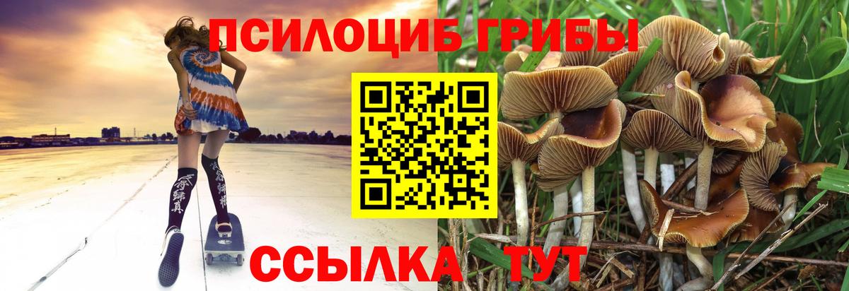Галлюциногенные грибы Magic Shrooms Бугуруслан