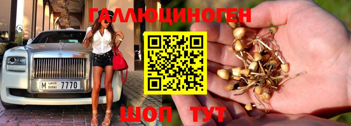 Бугуруслан  МДМА  A PVP СК кристаллы  Где продают наркотики?  Мефедрон   Кокаин  Конопля  ГАШ  МЕТАДОН 