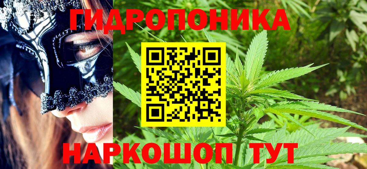 Бошки Шишки OG Kush  Шишки марихуана гибрид  Канабис Bruce Banner  Вход с VPN  Бугуруслан 